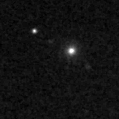 2020pz_image