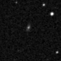 2020pzg_image