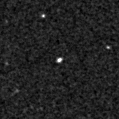2020pzj_image