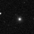2020pzm_image