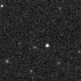 2020pzp_image