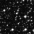 2020rav_image