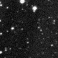 2020rdq_image