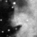 2020reg_image