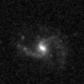 2020rfd_image