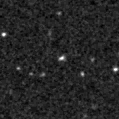 2020rfj_image