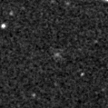 2020rhf_image