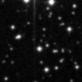 2020rib_image