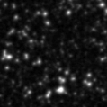 2020rjo_image
