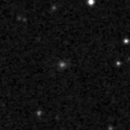 2020rlo_image