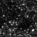 2020rlq_image