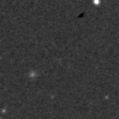 2020rnl_image