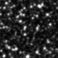 2020rqp_image