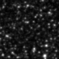 2020rrk_image