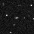2020rrt_image