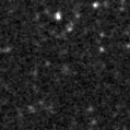 2020rzm_image