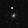2020scn_image