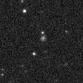 2020sdw_image