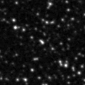 2020sfe_image