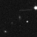 2020sfs_image