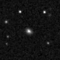 2020sig_image