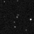 2020sjd_image