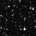 2020sle_image