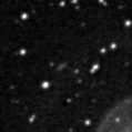 2020slf_image