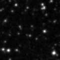 2020slg_image