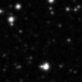 2020slj_image
