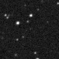 2020slw_image