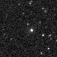 2020slz_image