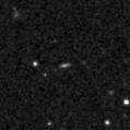2020snw_image
