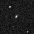 2020sos_image
