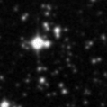 2020spk_image