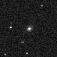 2020spp_image
