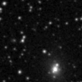 2020sq_image
