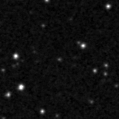 2020ss_image