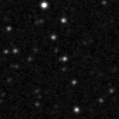 2020svf_image