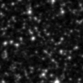 2020swb_image