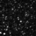 2020swk_image