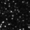 2020swl_image