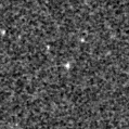 2020sww_image