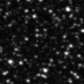 2020sxk_image