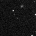 2020syf_image