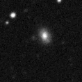 2020tnr_image