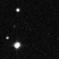 2020trg_image