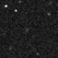 2020trt_image