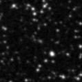 2020ttb_image