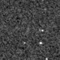 2020txo_image